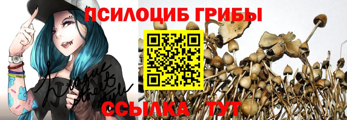 Псилоцибиновые грибы прущие грибы  Вход с VPN  Тайшет 